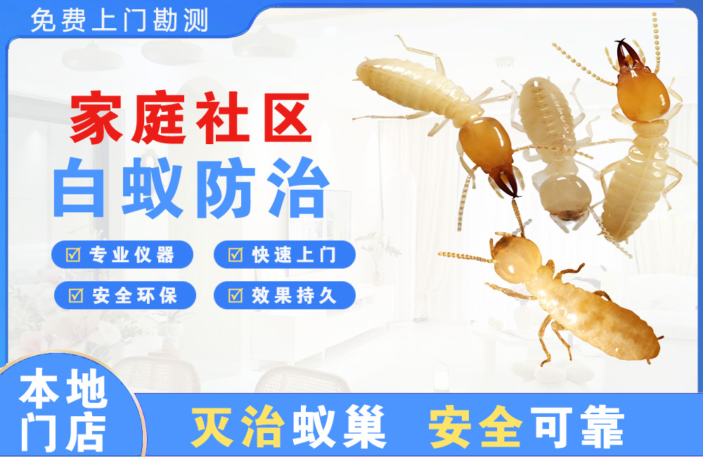 奉化家庭社区白蚁防治