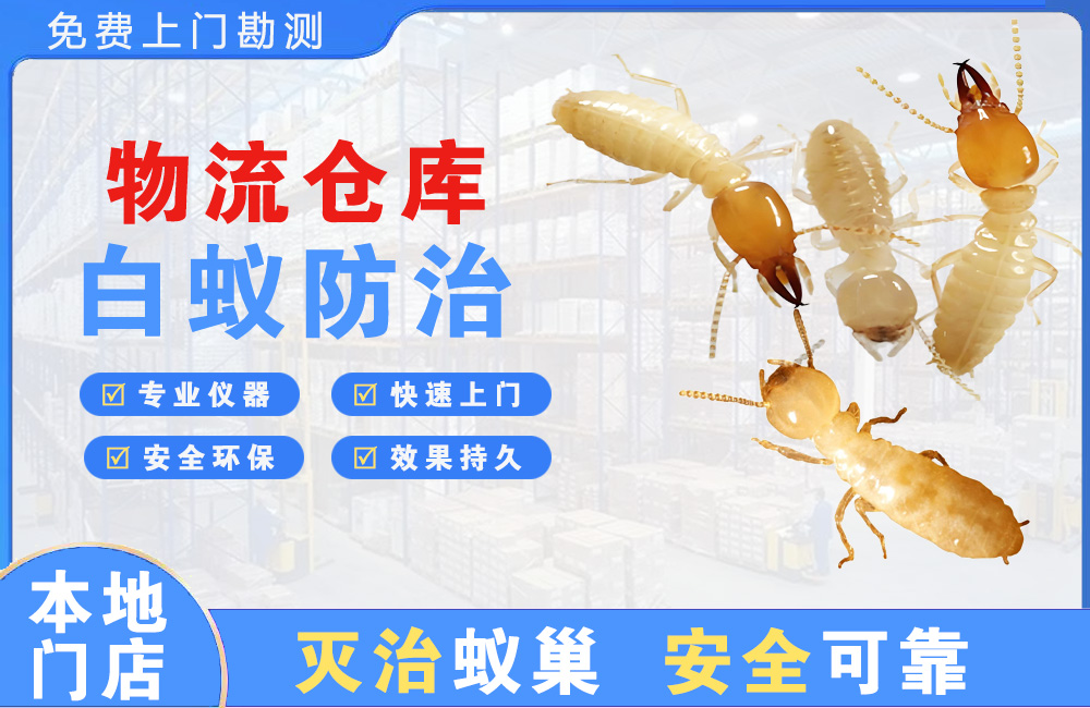 奉化物流仓库白蚁防治