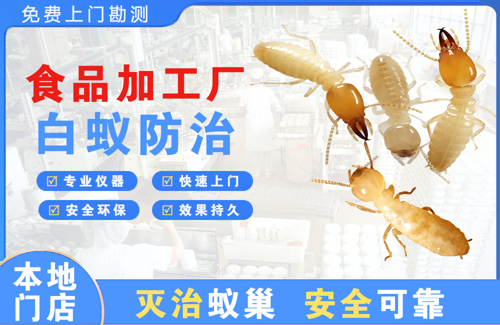 奉化食品加工厂白蚁防治