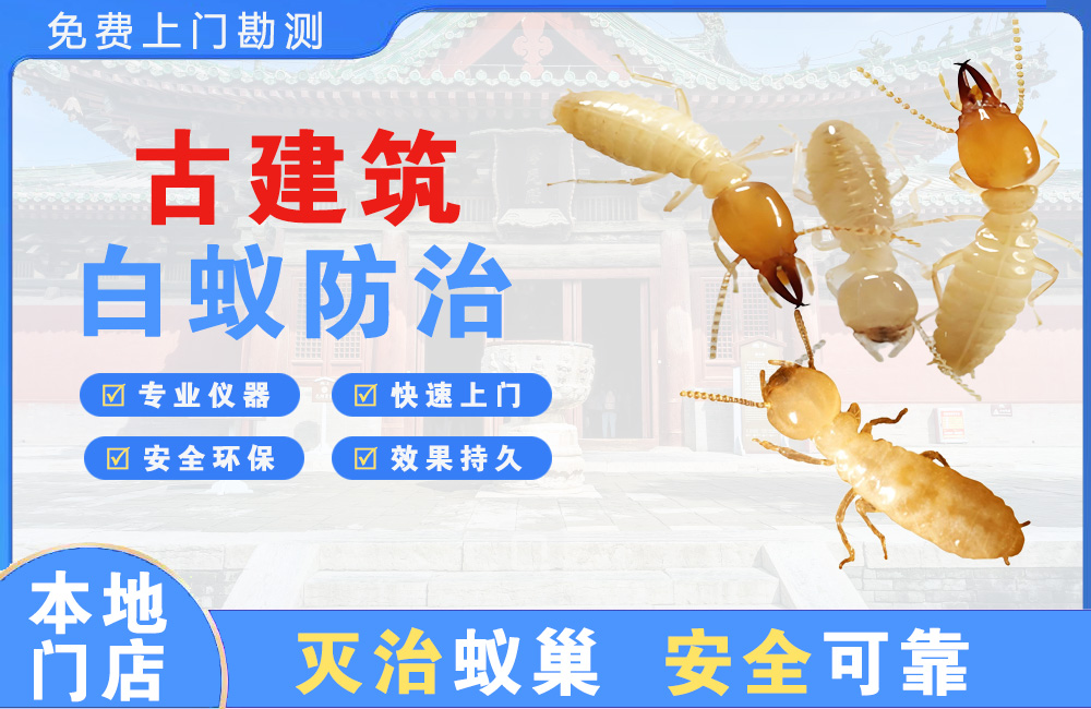 奉化古建筑白蚁防治