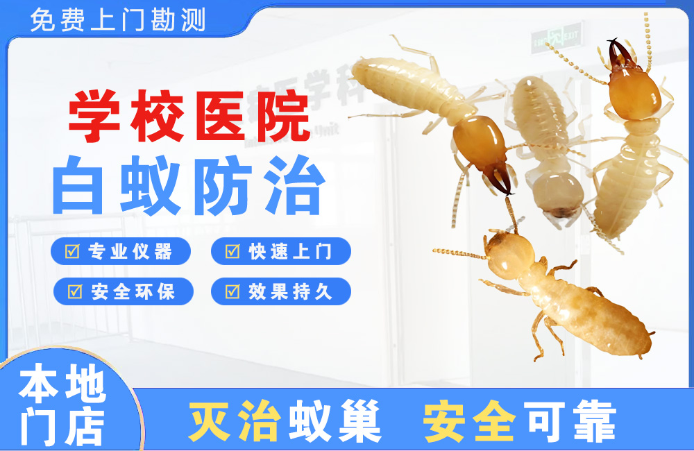 奉化学校医院白蚁防治
