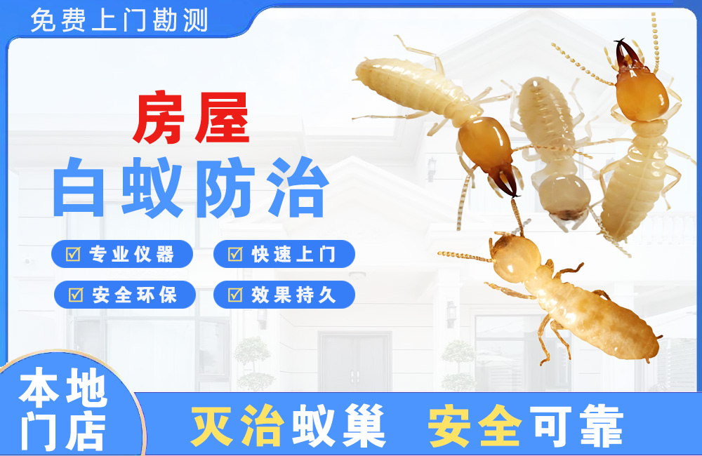 奉化房屋白蚁防治