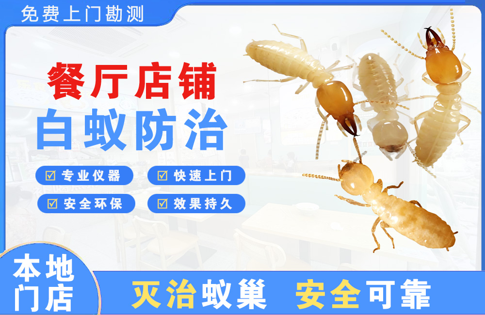 奉化餐厅店铺白蚁防治